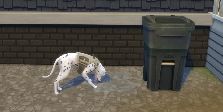 Drinking from a puddle in the Sims 4 Cats and Dogs Pets Expansion