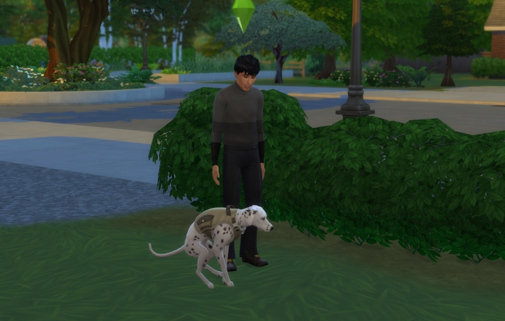 Teaching a dog to go outside (housebreaking) in the Sims 4 Cats and Dogs Pets Expansion