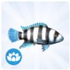 Cichlid Fish in The Sims 4