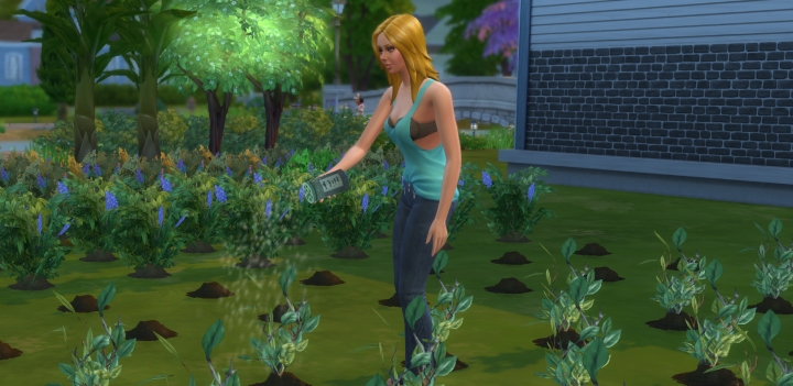 The Sims 4 Fertilizer