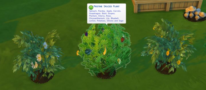 The Sims 4 Gardening - a Spliced Plant