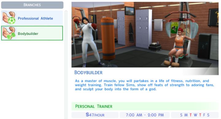 the sims 4 no option to mentor