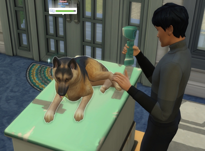 the sims 4 cats and dogs carls guide