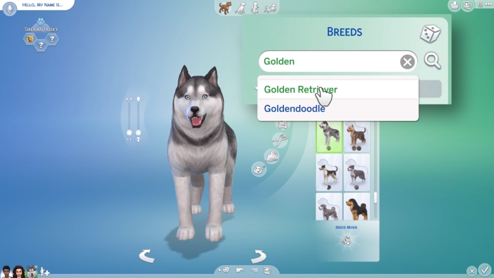 can you get a pet in sims 4