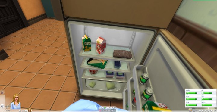 sims 4 first person glitch solved