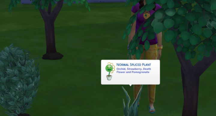 the sims 4 no option to harvest lily plant